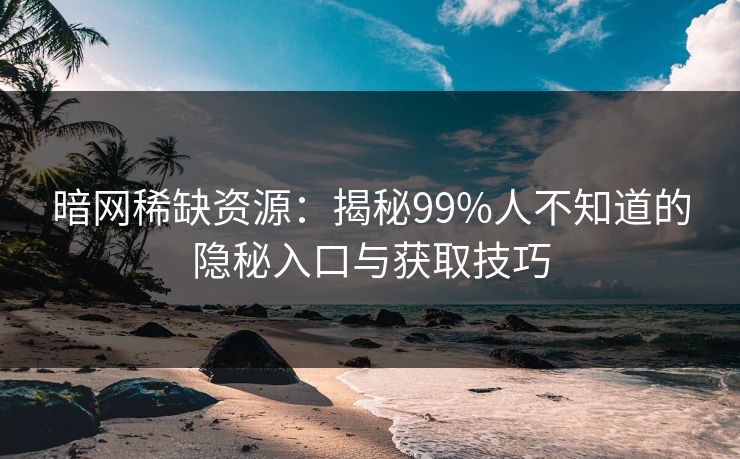 暗网稀缺资源：揭秘99%人不知道的隐秘入口与获取技巧