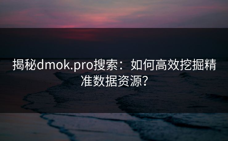 揭秘dmok.pro搜索：如何高效挖掘精准数据资源？