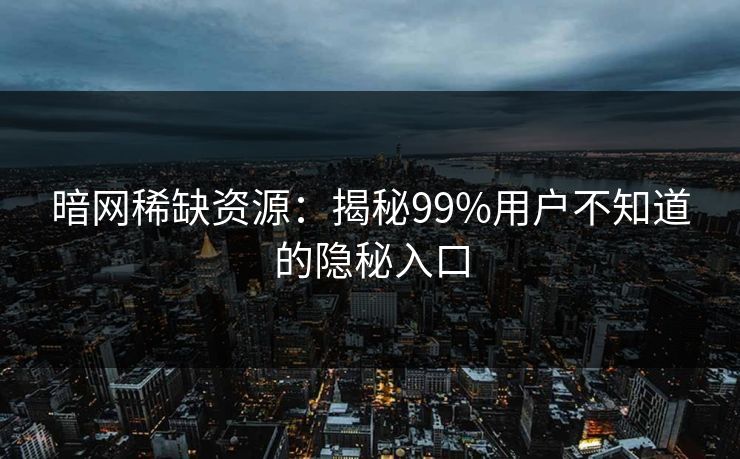 暗网稀缺资源：揭秘99%用户不知道的隐秘入口