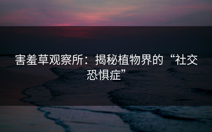 害羞草观察所：揭秘植物界的“社交恐惧症”