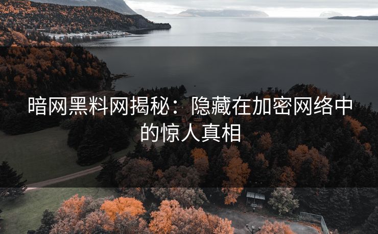 暗网黑料网揭秘:隐藏在加密网络中的惊人真相