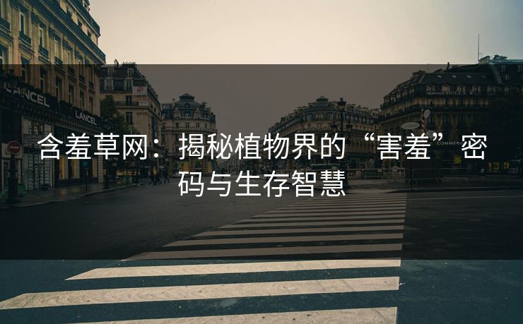 含羞草网:揭秘植物界的“害羞”密码与生存智慧